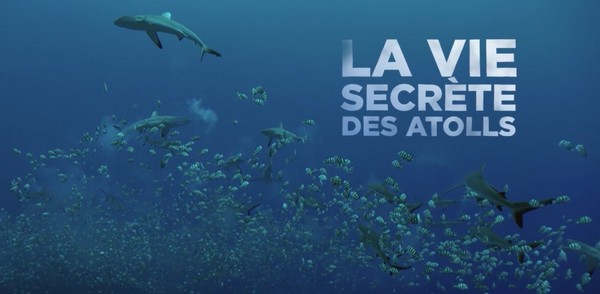 La vie secrète des Atolls - Musique de Laurent Parisi